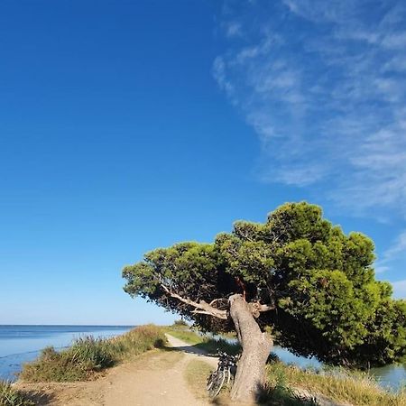 T2 Cosy A La Plage, Terrasse Vue Sur Mer Et Parking Privatif Narbonne Extérieur photo