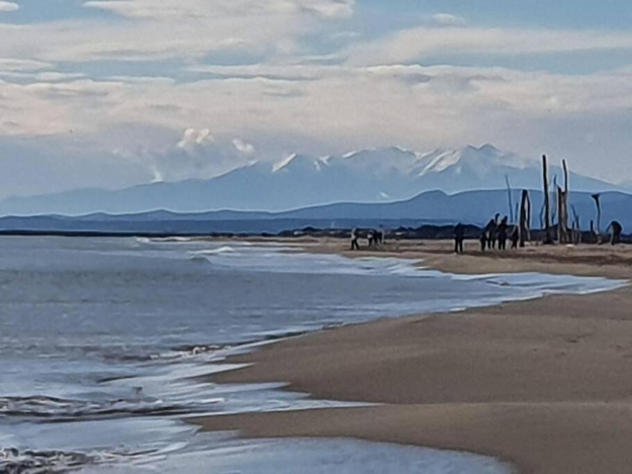 T2 Cosy A La Plage, Terrasse Vue Sur Mer Et Parking Privatif Narbonne Extérieur photo