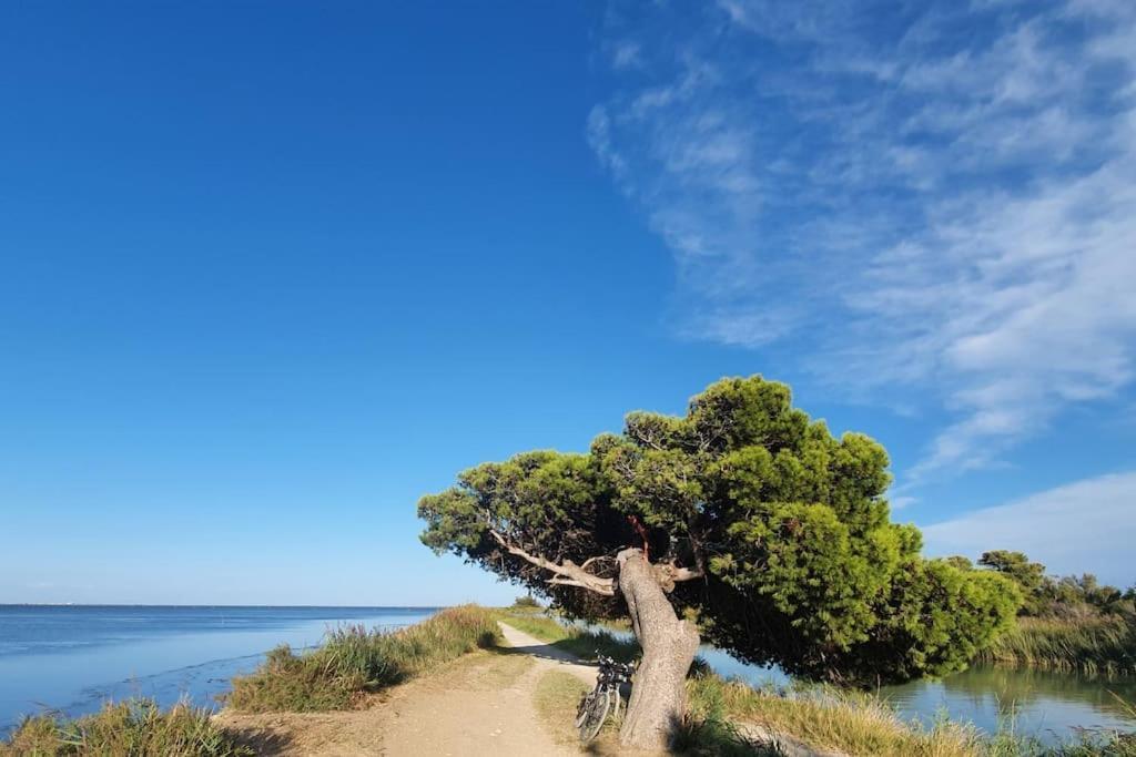 T2 Cosy A La Plage, Terrasse Vue Sur Mer Et Parking Privatif Narbonne Extérieur photo